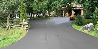 Best Driveway Maintenance Services  in Odem, TX